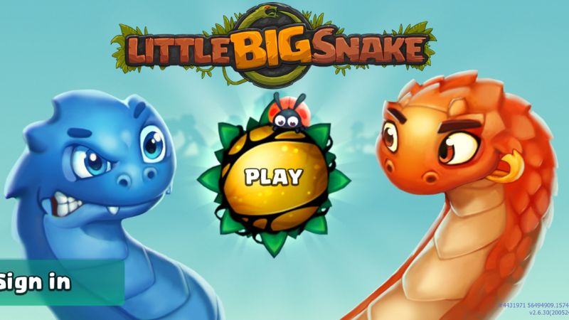 Little Big Snake