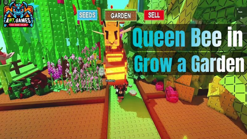 How to Get And Use The Queen Bee in Grow a Garden