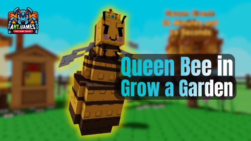 How to Get And Use The Queen Bee in Grow a Garden