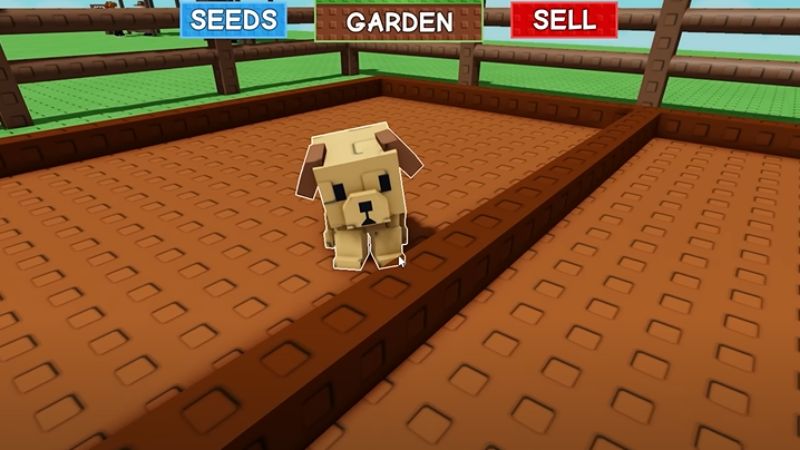 Seed Digging Pets