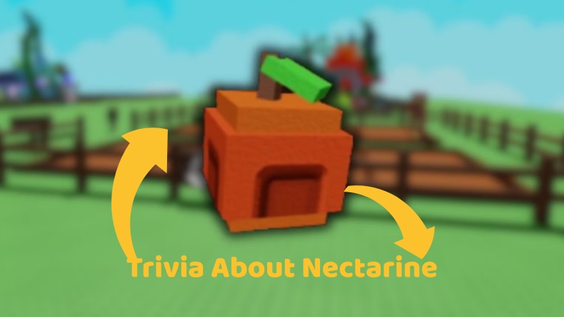 Trivia About Nectarine in Grow a Garden Game