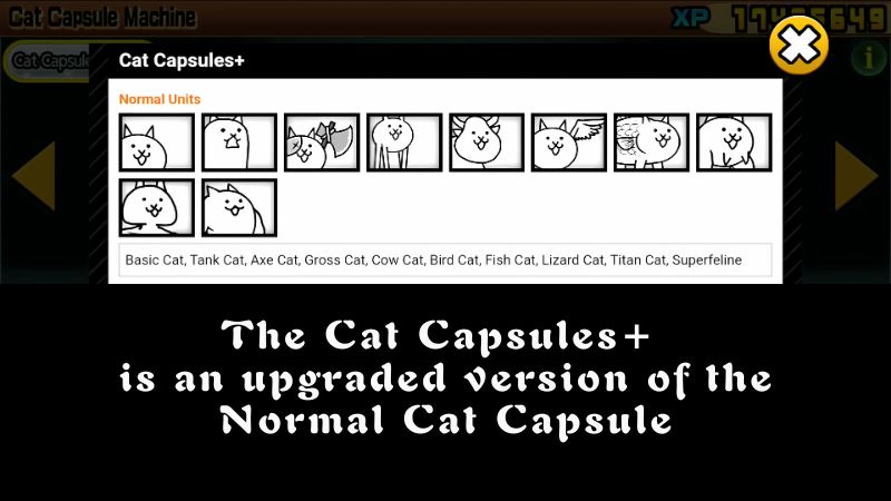 Cat Capsules+