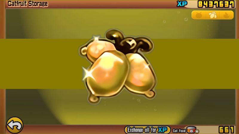 Gold Catfruit in Battle Cats