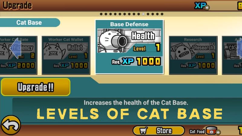 Levels of Cat Base