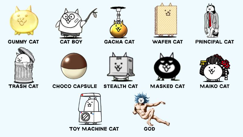 Miscellaneous Special Cats