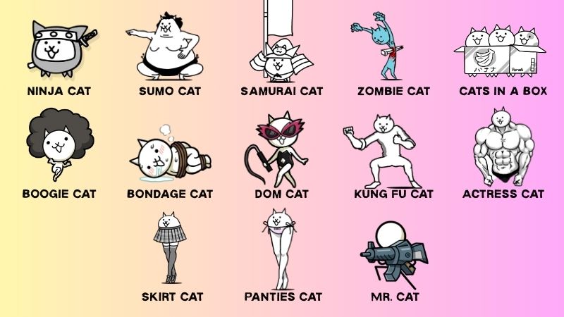 Purchased Special Cats