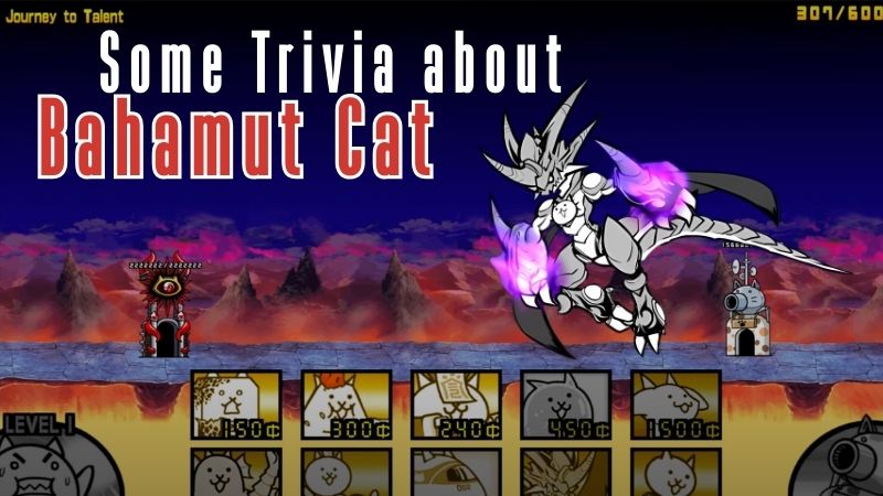 Some Trivia About Bahamut Cat