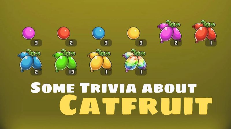 Some Trivia About Catfruit in Battle Cats