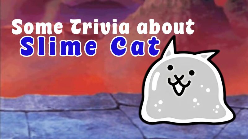 Some Trivia About Slime Cat