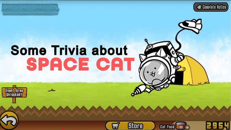 Some Trivia about Space Cat