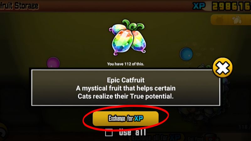Storage and Functions of Catfruit in Battle Cats