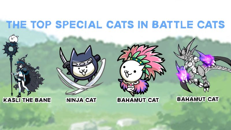 Which are the top special cats in Battle Cats?