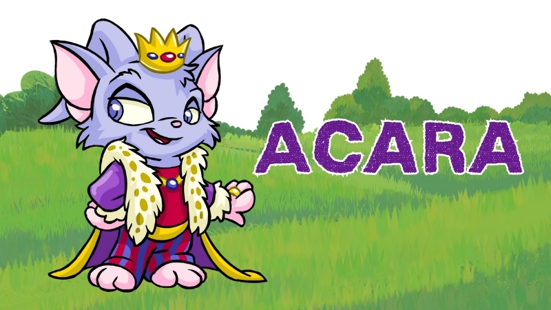 acara in neopets
