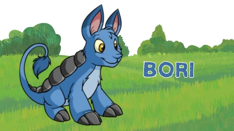 bori in neopets