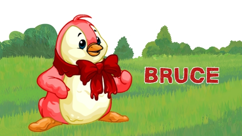 bruce in neopets