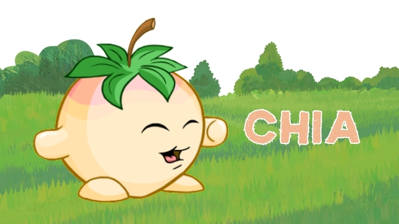 chia in neopets
