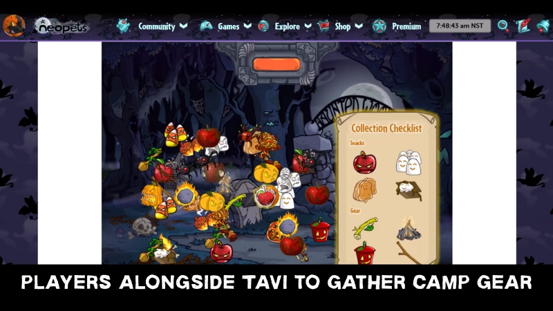 cosy campfire collection in neopets