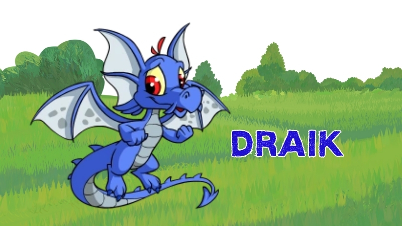 draik in neopets