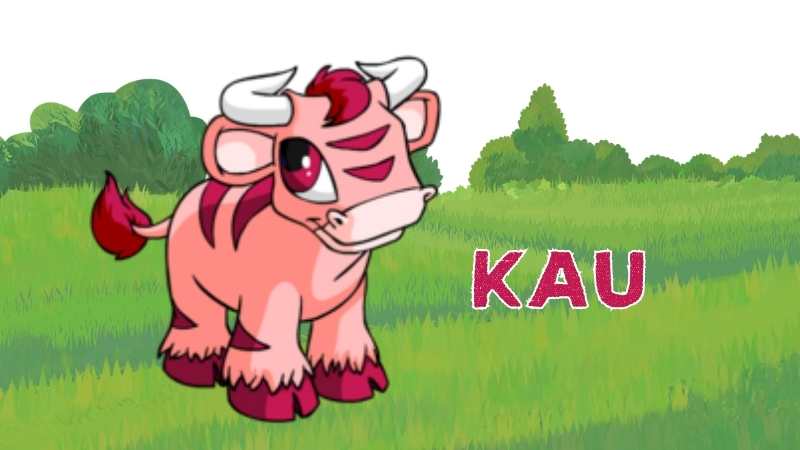 kau in neopets