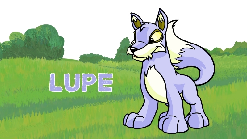 lupe in neopets