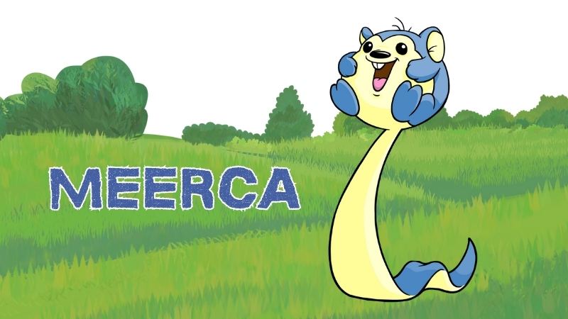 meerca in neopets