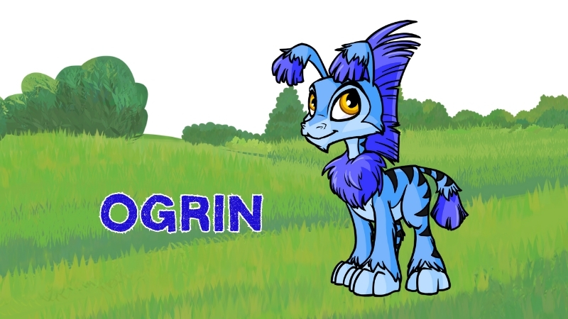 ogrin in neopets