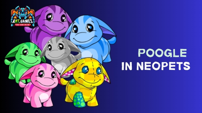 All Thing About Poogle in Neopets