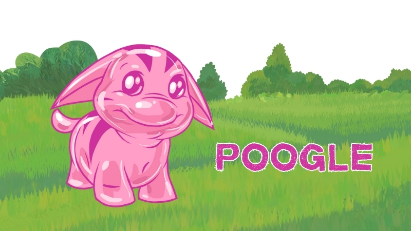 poogle in neopets