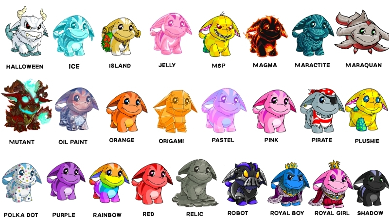 poogles available colours and styles