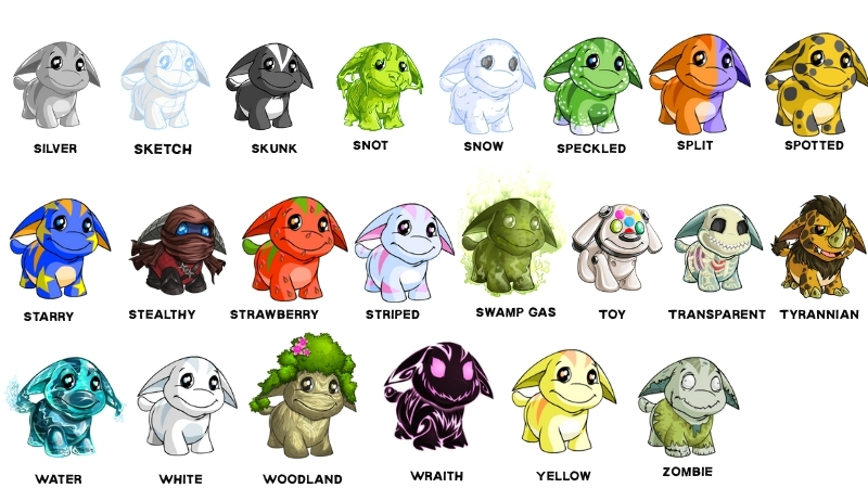 poogles available colours and styles