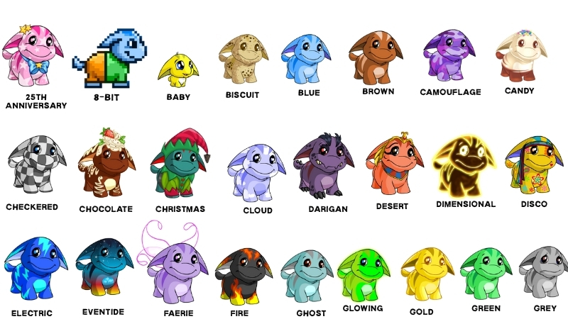 poogles available colours and styles