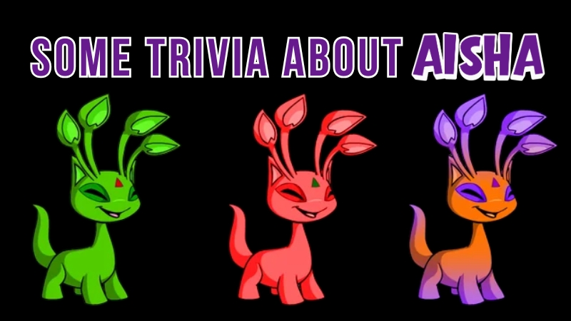 Some Trivia about Aisha in Neopets