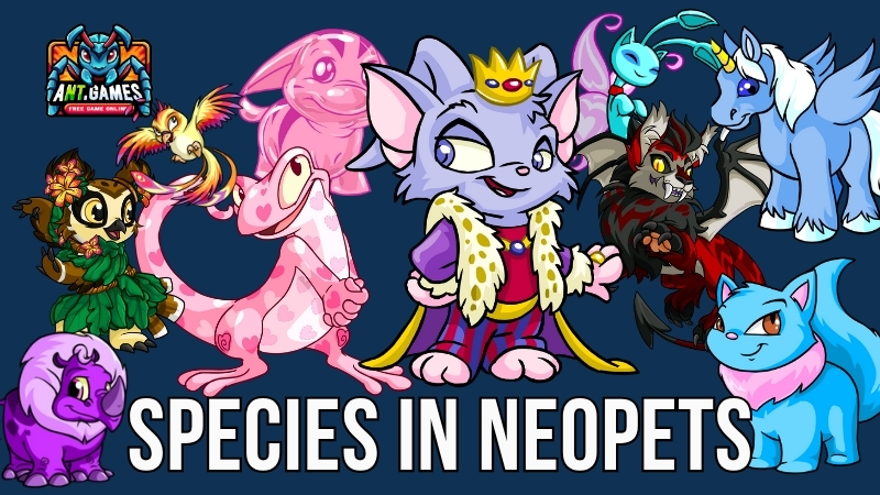 Discover All Species in Neopets