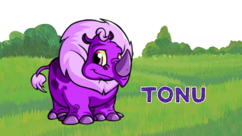tonu in neopets