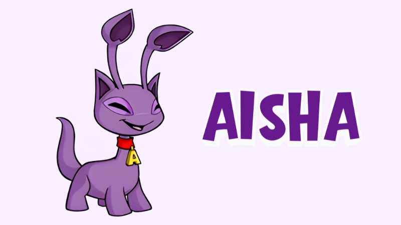 traits of the aisha