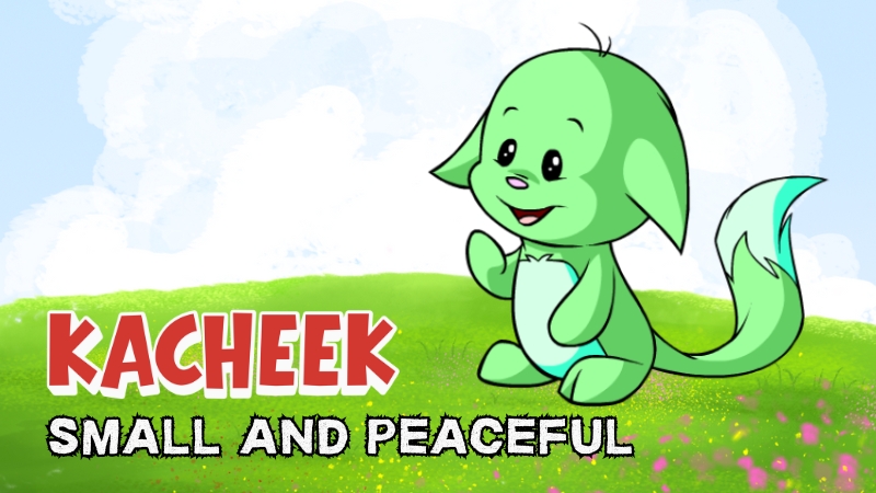traits of the kacheek