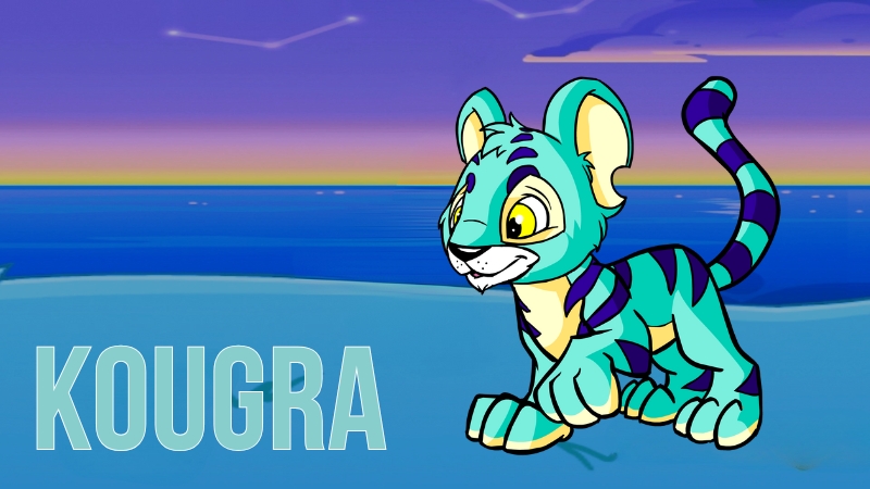 traits of the kougra